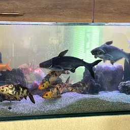 M.R Traders Fish Aquarium Shop (fishy_fish_aquarium_store)