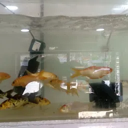 M raj aquarium