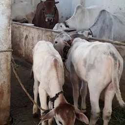 Ma Anandmayi Ashram INDORE