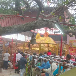 Maa mangla gauri shaktipeeth