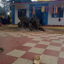 Maa Nainawati Temple
