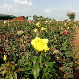 Maa nursery