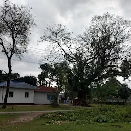 Maa Shetola O Maa Monosha Mandir.