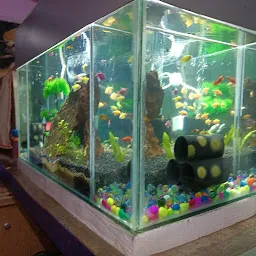 Maa Tarini Aquarium house