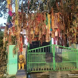 Maa Vaishnodevi Temple