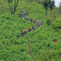 Machew Park Ngaimu/Ngainga