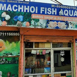 Machhoi Fish Aquarium & Pet Shop