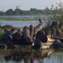 Madambakkam Lake