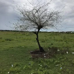 Madambakkam Lake