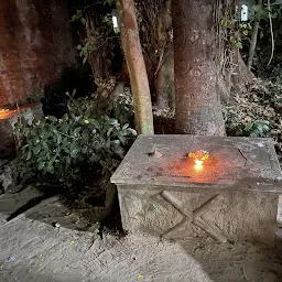 Madathuvilakam Elankam Bhagavathy Temple മടതുവിളാകം ഇളങ്കം ഭഗവതി ക്ഷേത്രം