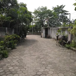 Madhavan Residency