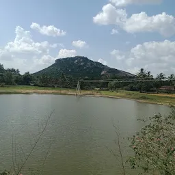 Madhavaram Check Dam