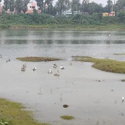 Madipakkam Lake