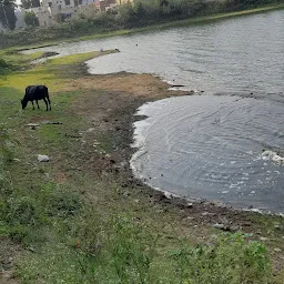 Madipakkam Lake