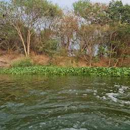 Madiwala Lake Boating Centre