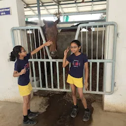 Madras School of Equestrian