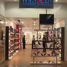 Magnet