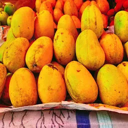 Mahajan fruit, ice-cream, shake and juice bar.