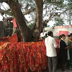 Mahamai Mansa Devi Charitable Bhandara Commitee