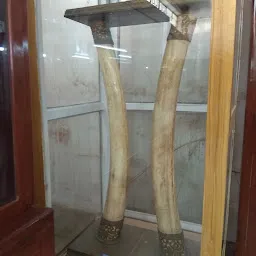 Maharajadhiraj Laxmishwar Sinh Museum Darbhanga