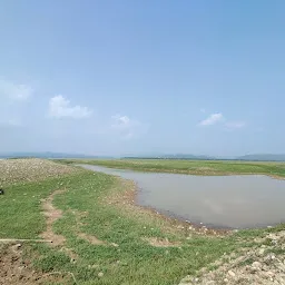 Maharana Pratap Sagar Lake View Point