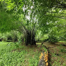 Maharashtra Nature Park