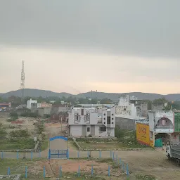 Mahaveer Nagar