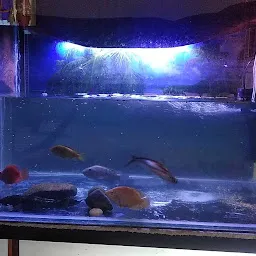 Mahi Fish Aquarium