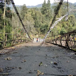 Main Pelling Crossing