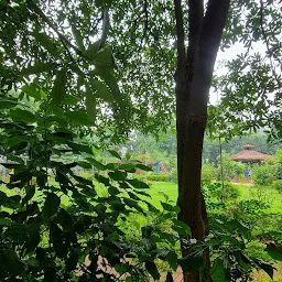 Maitre Vihar Park