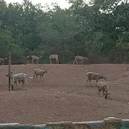 Maitri Bagh Zoo, bhilai, Chattisgarh