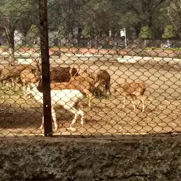 Maitri Zoo Parking