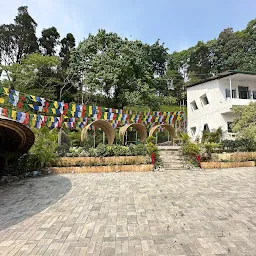 Makaibari Tea Estate