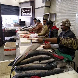 Makhan Fish Company / MFC. fish wholesaler & fish retailer in Amritsar