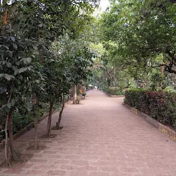 Makharia Garden