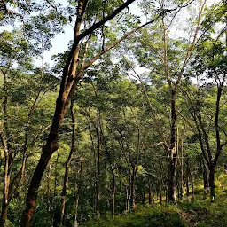 Mampazhathara View Point