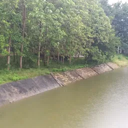 Manacherry checkdam