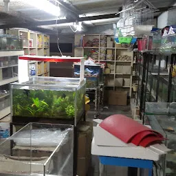 Manahil Aquarium