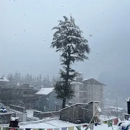 Manali