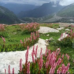 Manali