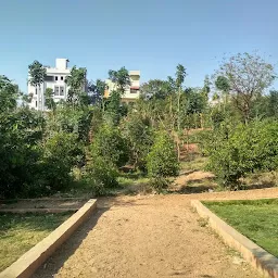 MaNaPa Garden