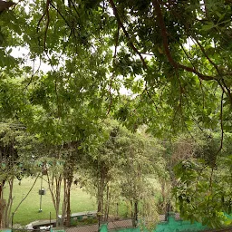 Manas Nagar Park