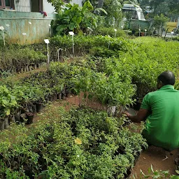 Manasa Plant Nursery Ambattur (formerly Isha Nursery)