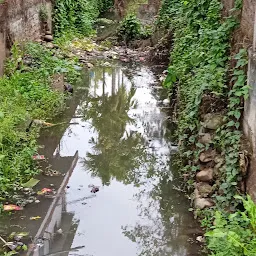 Mancotta Road near TV CENTRE TINI ALI DIBRUGARH