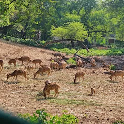 Manda Zoo Park