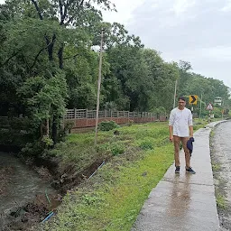 Mandev Forest Garden