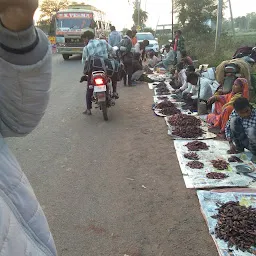 Mandideep Fish Market