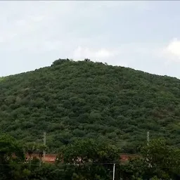 Mangalagiri Reserve Forest