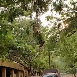 Mangalagiri Reserve Forest