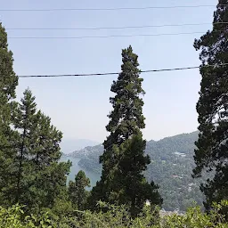 Mango Shape Lake - Nainital Lake View Point